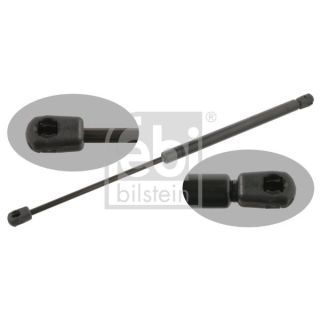 Dujinė spyruoklė, bagažinė FEBI BILSTEIN 25311