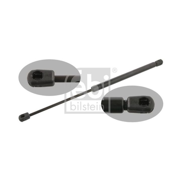 Dujinė spyruoklė, bagažinė FEBI BILSTEIN 25311