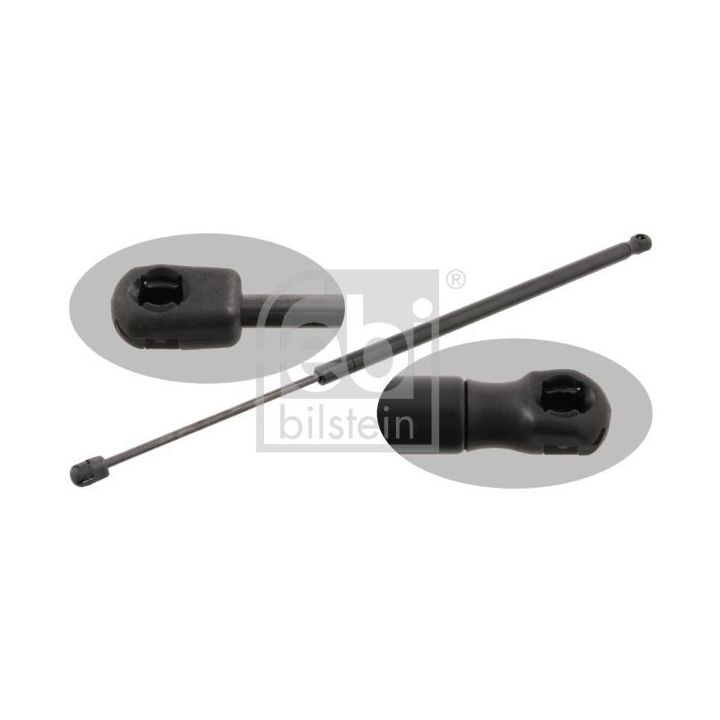 Dujinė spyruoklė, bagažinė FEBI BILSTEIN 27757