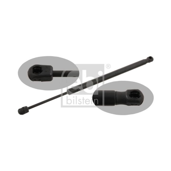 Dujinė spyruoklė, bagažinė FEBI BILSTEIN 27785