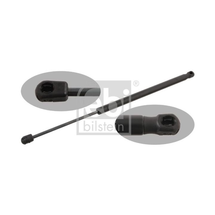 Dujinė spyruoklė, bagažinė FEBI BILSTEIN 27919