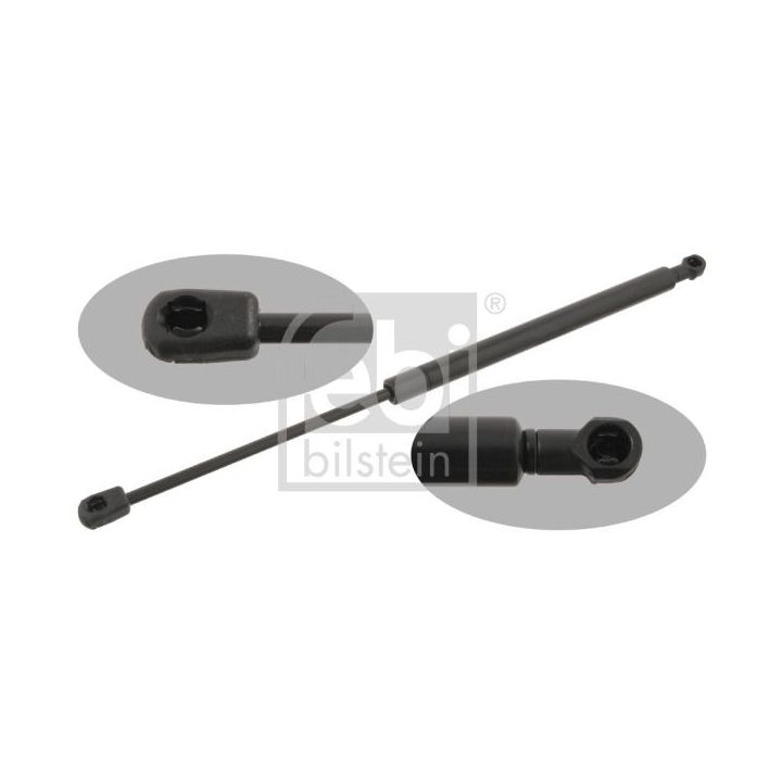 Dujinė spyruoklė, bagažinė FEBI BILSTEIN 29294