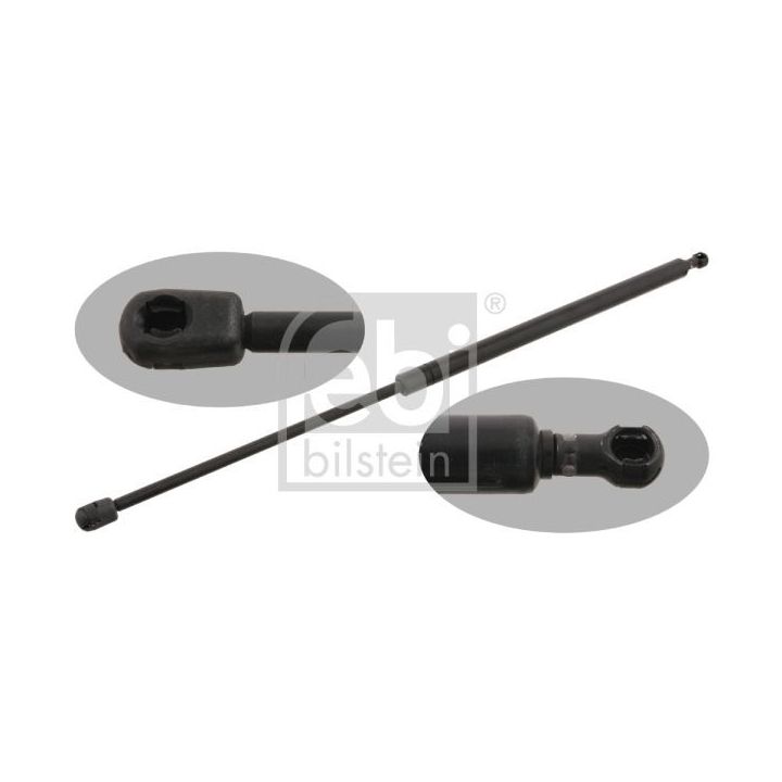 Dujinė spyruoklė, bagažinė FEBI BILSTEIN 29444