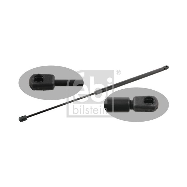 Dujinė spyruoklė, bagažinė FEBI BILSTEIN 29895