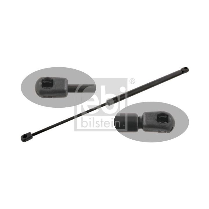 Dujinė spyruoklė, bagažinė FEBI BILSTEIN 31029