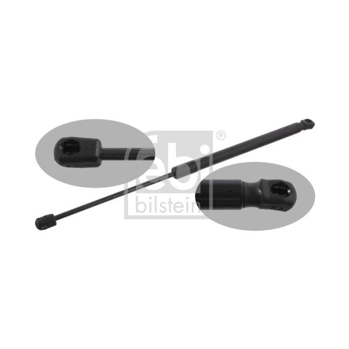 Dujinė spyruoklė, bagažinė FEBI BILSTEIN 31676