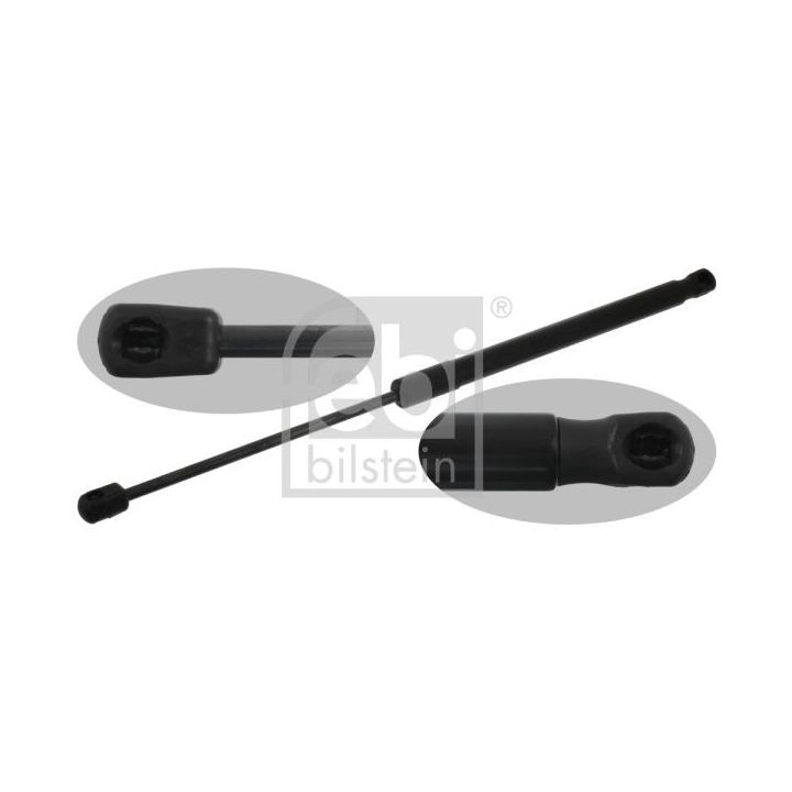 Dujinė spyruoklė, bagažinė FEBI BILSTEIN 39268