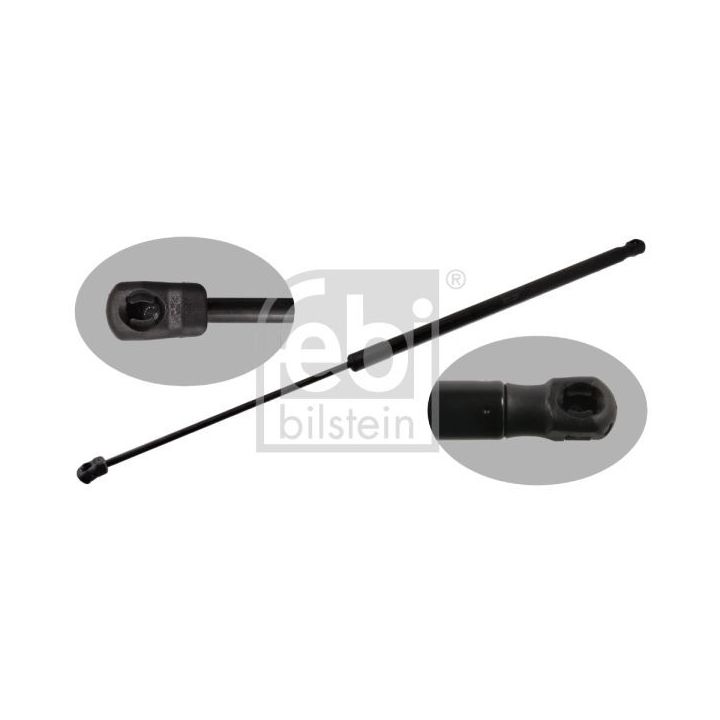 Dujinė spyruoklė, bagažinė FEBI BILSTEIN 39708