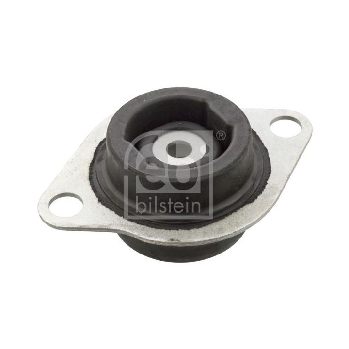 Variklio montavimas FEBI BILSTEIN 103309