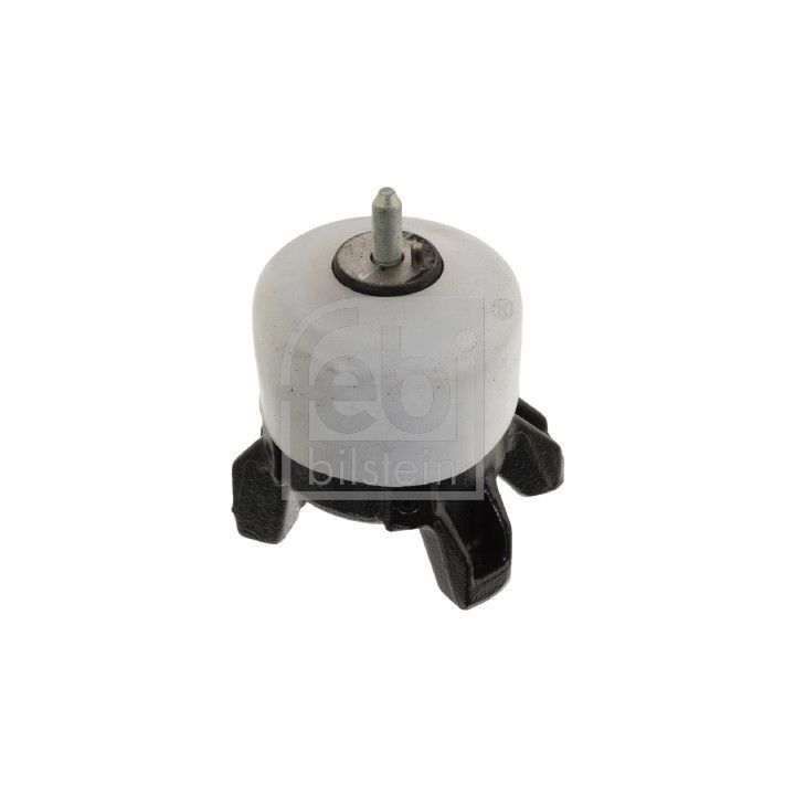 Variklio montavimas FEBI BILSTEIN 106847