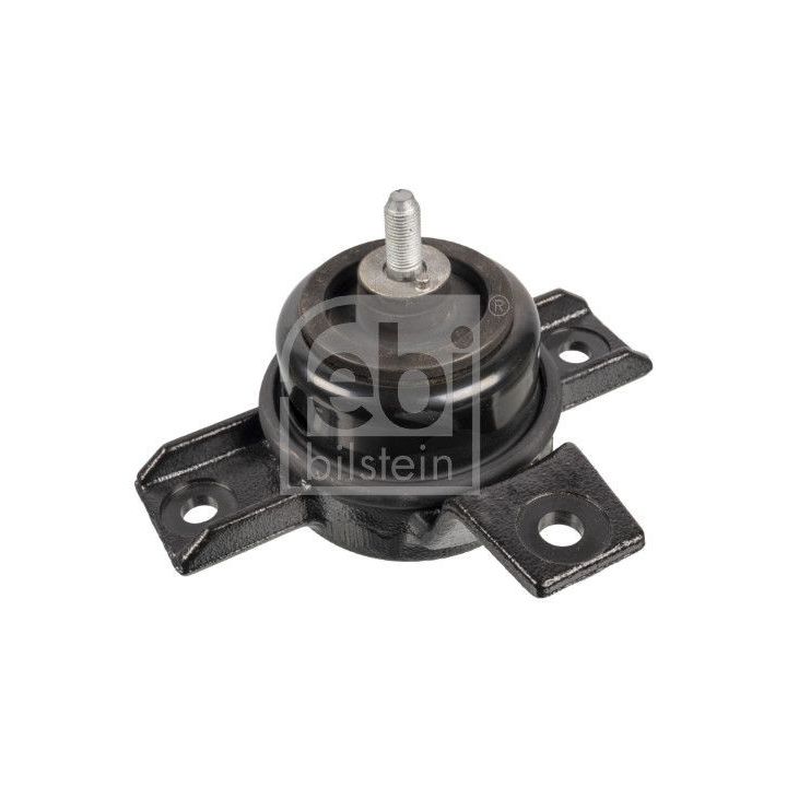 Variklio montavimas FEBI BILSTEIN 170798