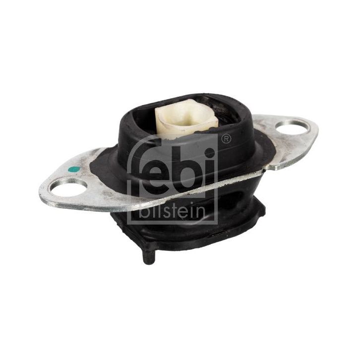 Variklio montavimas FEBI BILSTEIN 173045