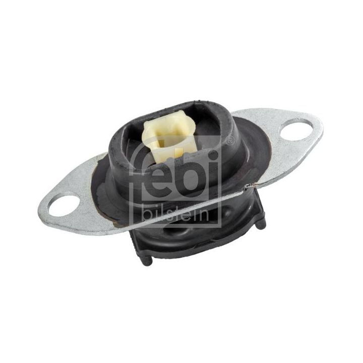 Variklio montavimas FEBI BILSTEIN 173191