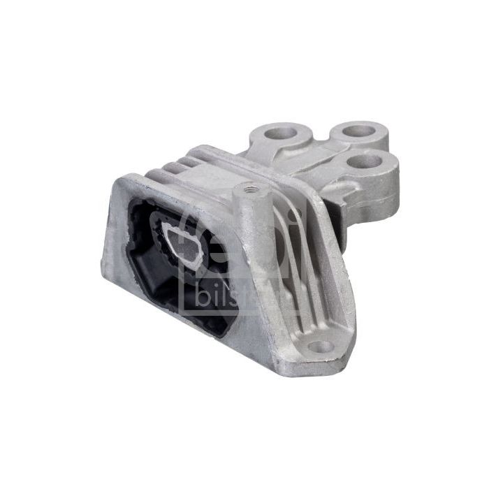 Variklio montavimas FEBI BILSTEIN 174304