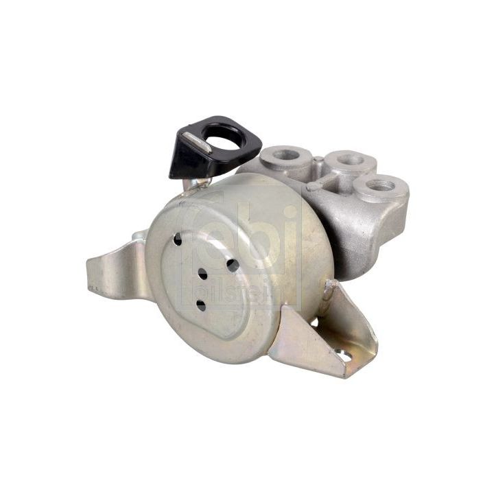 Variklio montavimas FEBI BILSTEIN 174762