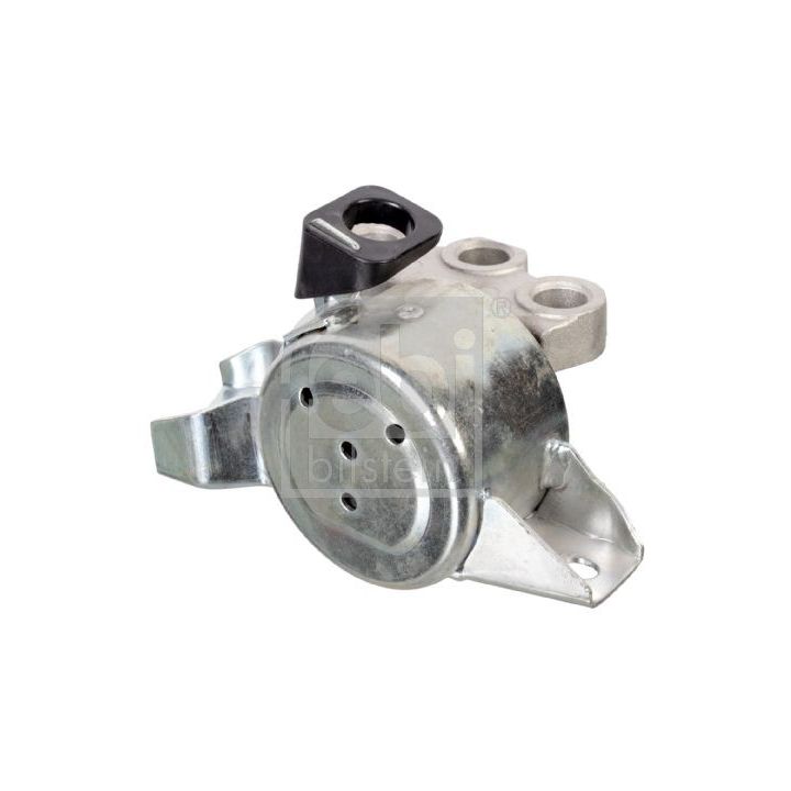 Variklio montavimas FEBI BILSTEIN 175404