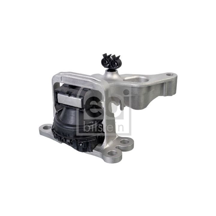 Variklio montavimas FEBI BILSTEIN 177029