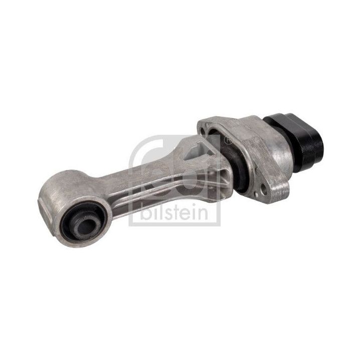 Variklio montavimas FEBI BILSTEIN 179952