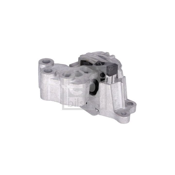 Variklio montavimas FEBI BILSTEIN 181059