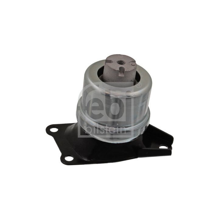 Variklio montavimas FEBI BILSTEIN 46297