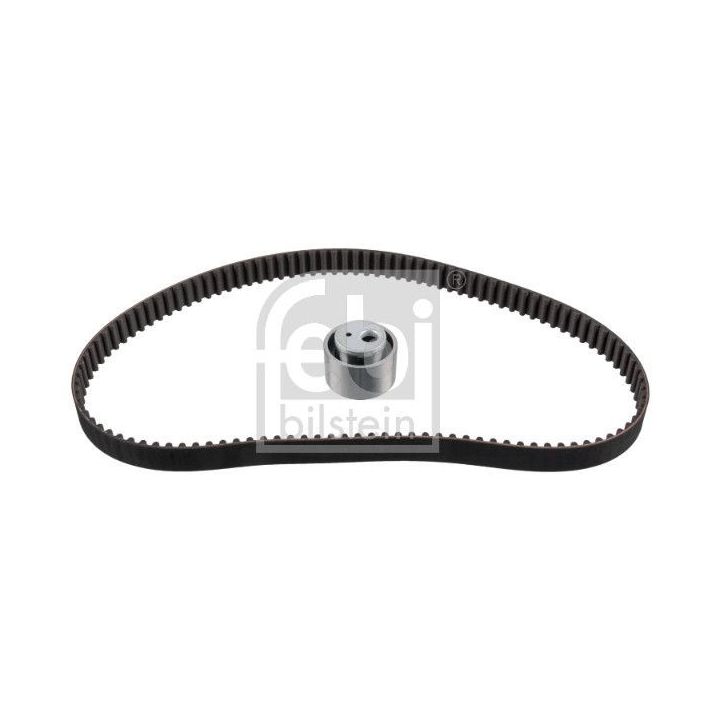 Paskirstymo diržo komplektas FEBI BILSTEIN 11669