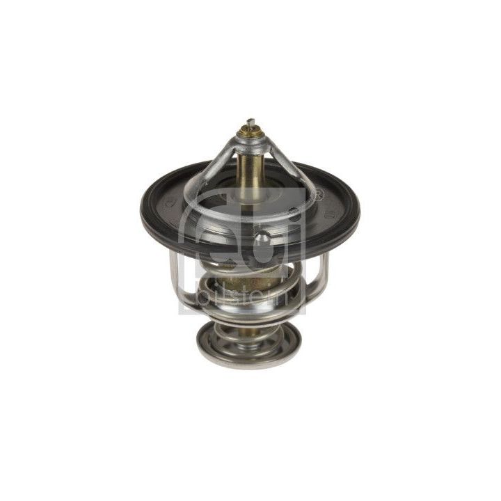 Termostatas, aušinimo skystis FEBI BILSTEIN 107707