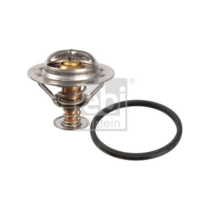 Termostatas, aušinimo skystis FEBI BILSTEIN 172246