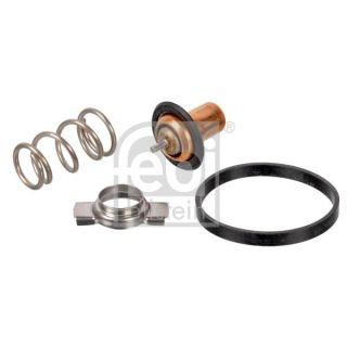 Termostatas, aušinimo skystis FEBI BILSTEIN 173111