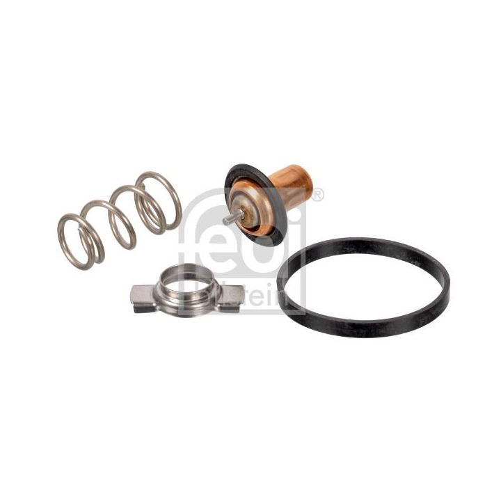 Termostatas, aušinimo skystis FEBI BILSTEIN 173111