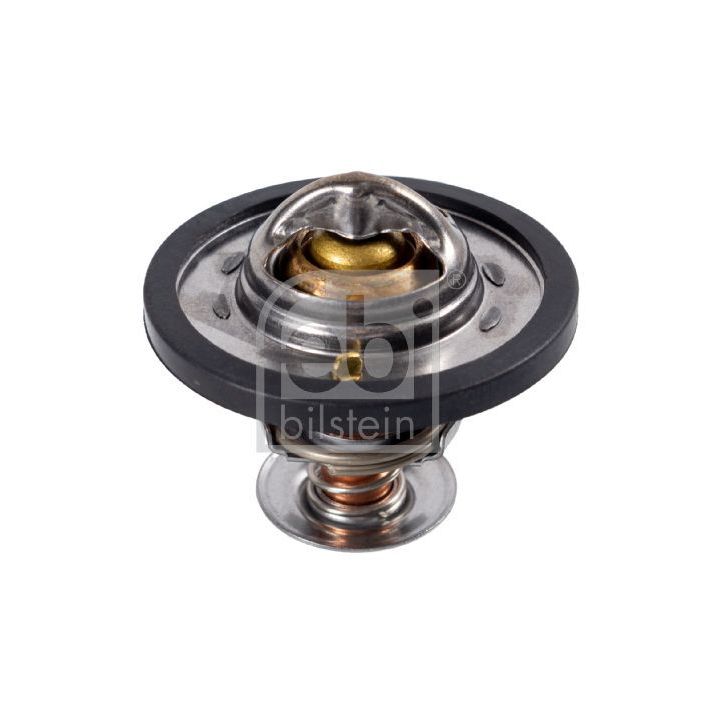 Termostatas, aušinimo skystis FEBI BILSTEIN 23981
