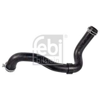 Radiatoriaus žarna FEBI BILSTEIN 170959