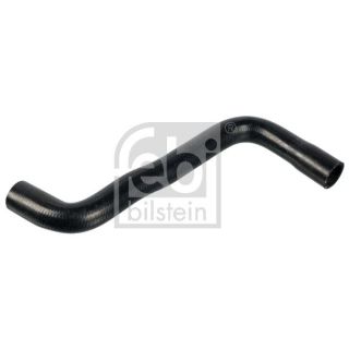 Radiatoriaus žarna FEBI BILSTEIN 171587