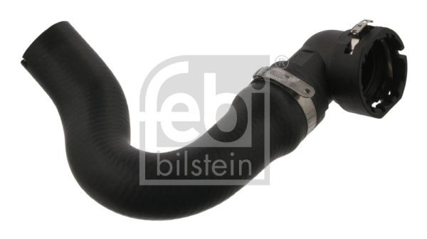 Radiatoriaus žarna FEBI BILSTEIN 37125