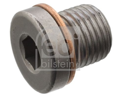 Varžtas, alyvos filtro korpusas (dangtis) FEBI BILSTEIN 101021