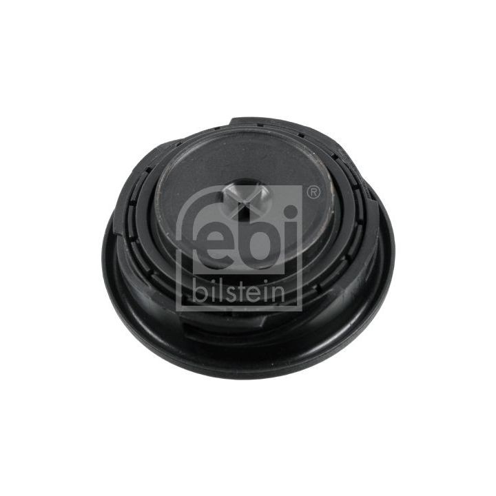 Dangtelis, alyvos pildymo anga FEBI BILSTEIN 177306