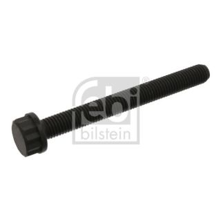 Cilindro galvutės varžtas FEBI BILSTEIN 09798