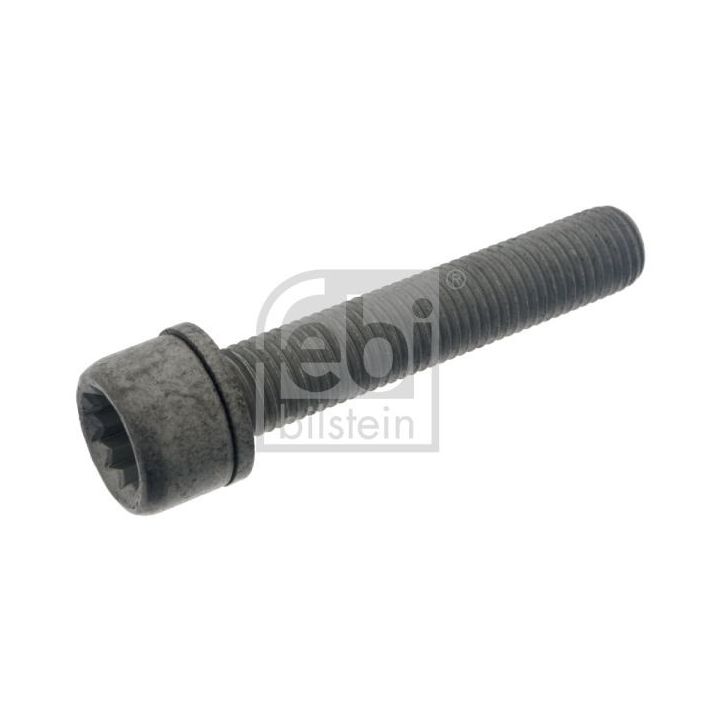 Varžtas, stabdžių apkaba FEBI BILSTEIN 48817