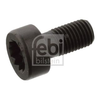 Smagračio varžtas FEBI BILSTEIN 07584