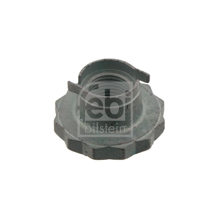 Veržlė, ašies kakliukas FEBI BILSTEIN 30028