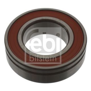 Guolis, kardaninio veleno centrinis guolis FEBI BILSTEIN 01796
