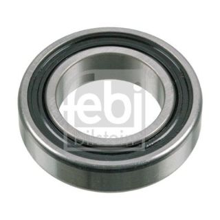 Guolis, kardaninio veleno centrinis guolis FEBI BILSTEIN 179676