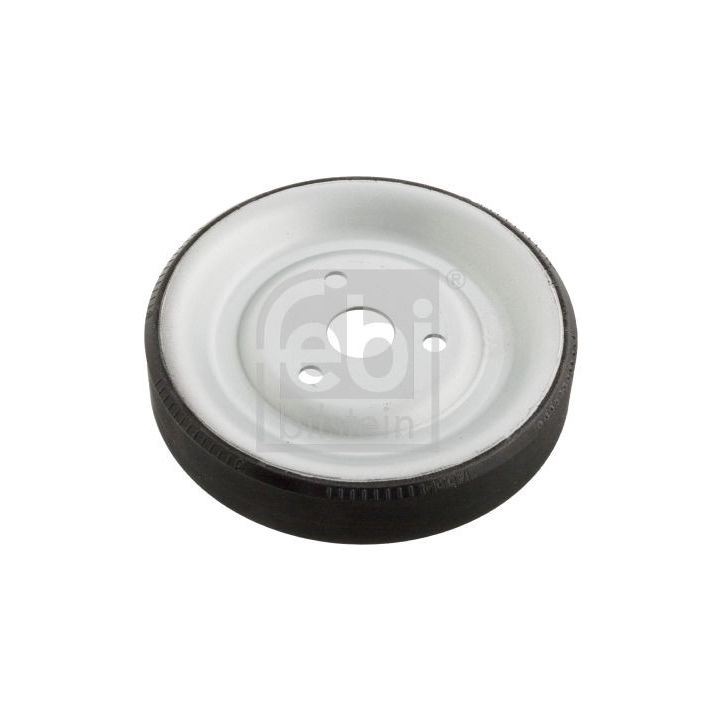 Skriemulys, vandens siurblys FEBI BILSTEIN 102466