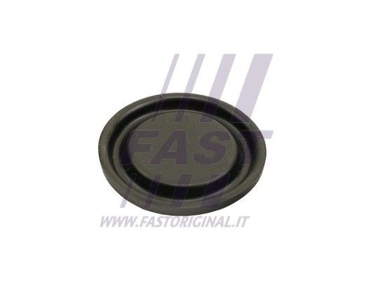FAST FT60102