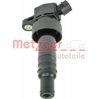 Ritė, uždegimas METZGER 0880430