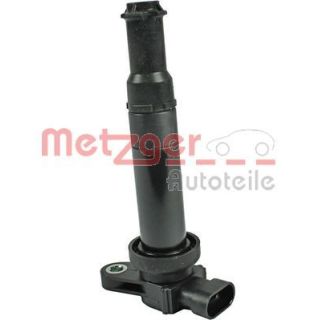 Ritė, uždegimas METZGER 0880443