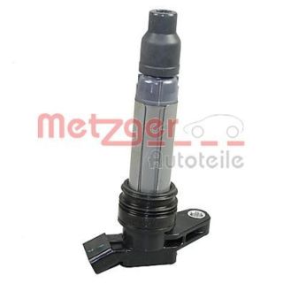 Ritė, uždegimas METZGER 0880474