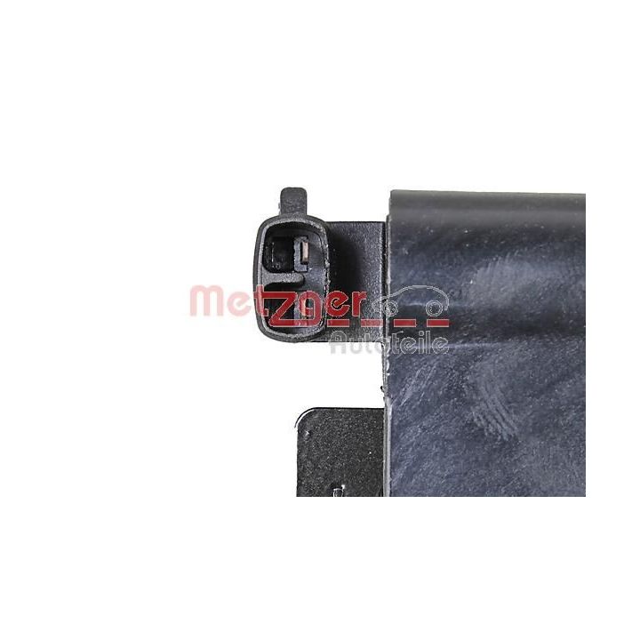 Ritė, uždegimas METZGER 0880476