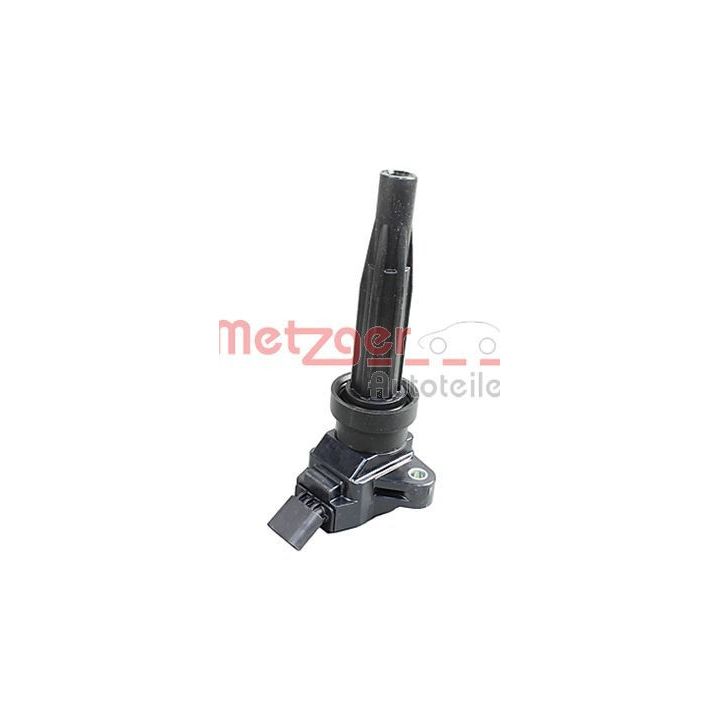 Ritė, uždegimas METZGER 0880487