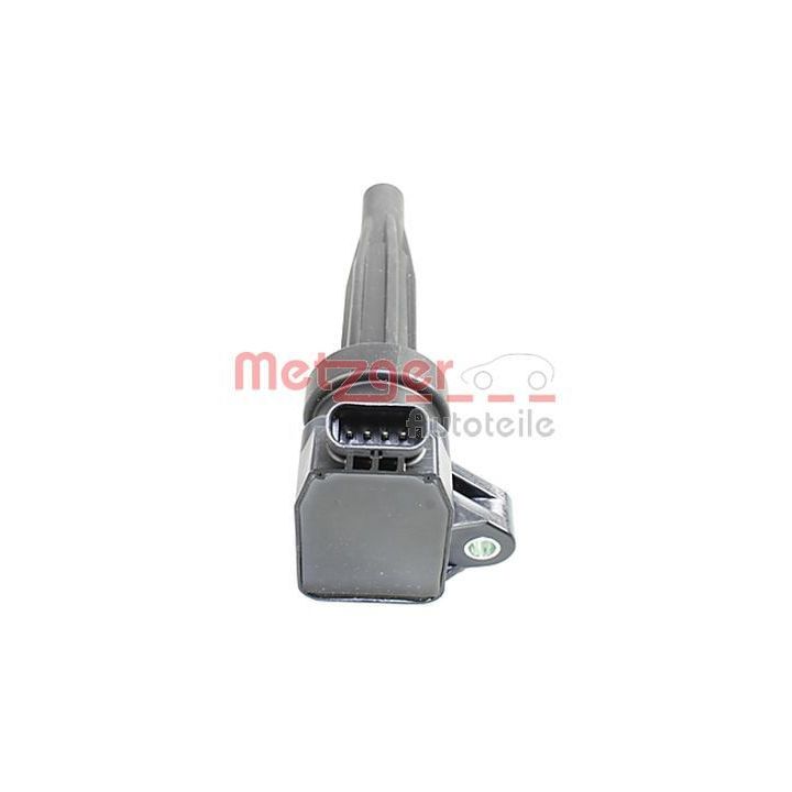 Ritė, uždegimas METZGER 0880487