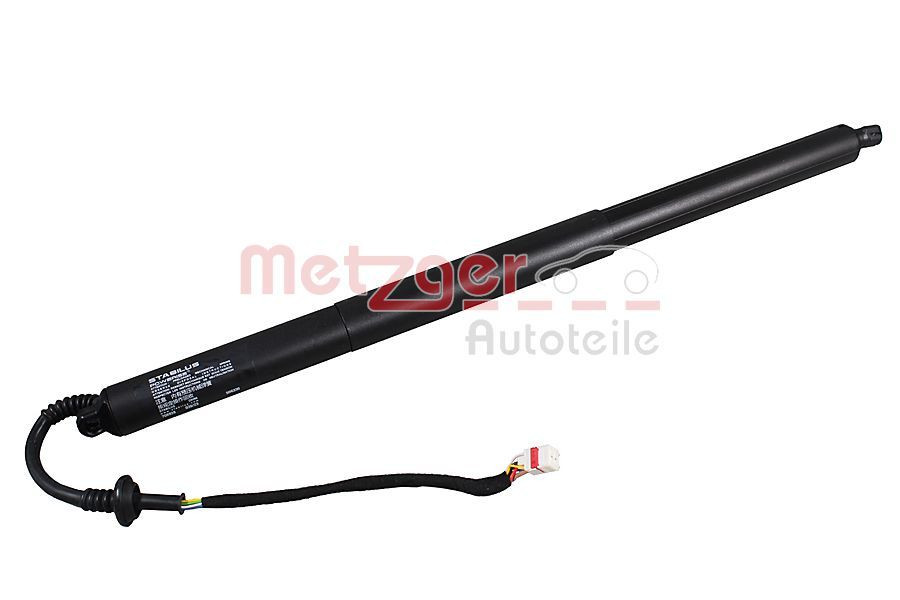 Galinių durų elektros variklis METZGER 2115031